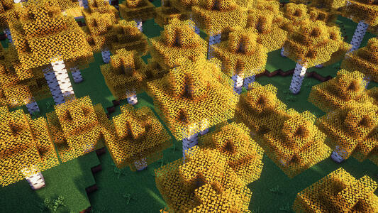 Elytra